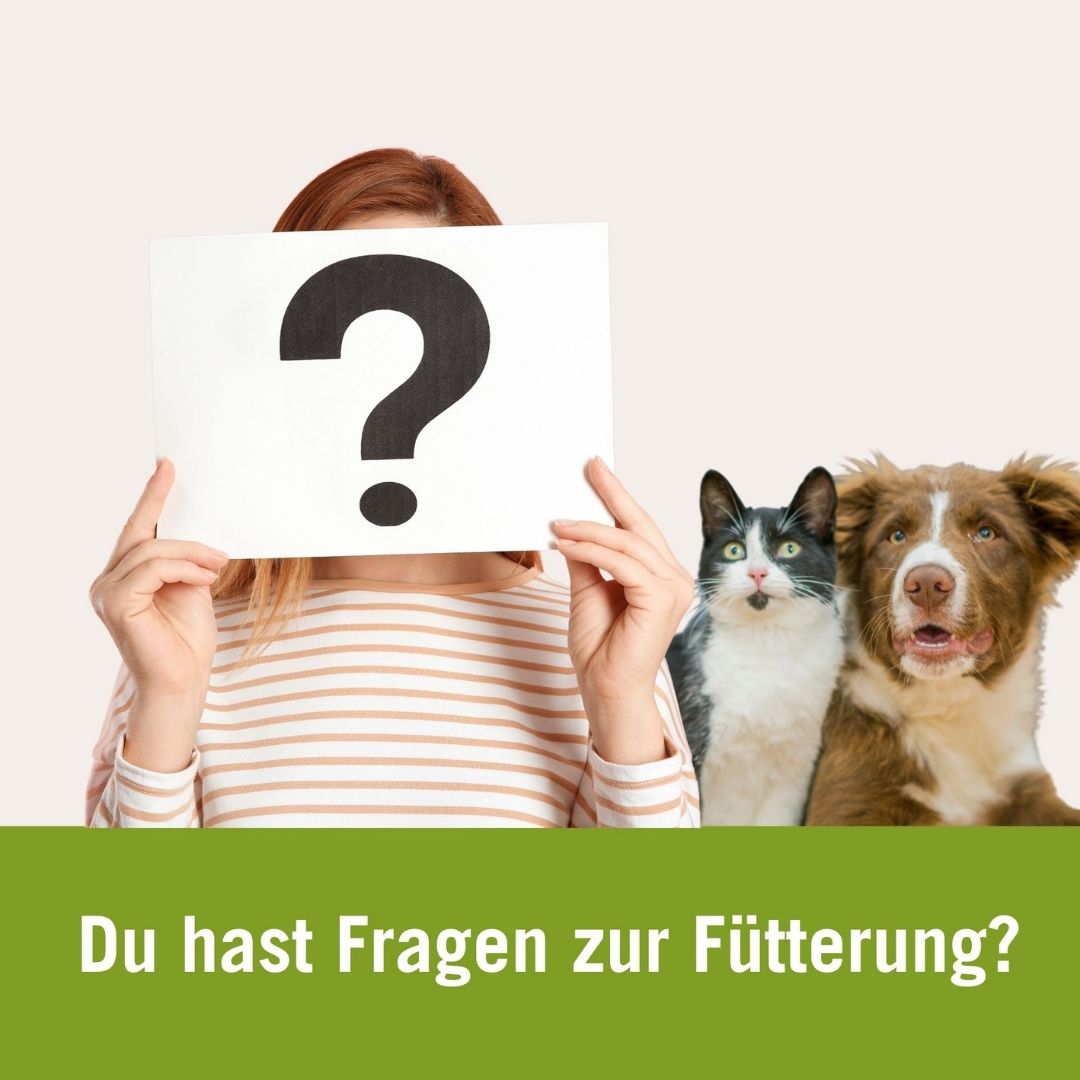 Ernärhungsberatung | Du hast Fragen zur Fütterung | Mensch mit Fragezeichen Hund und Katze